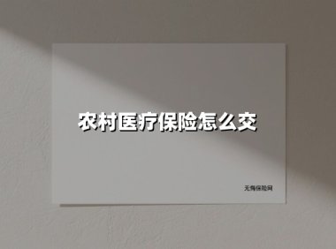 农村医疗保险怎么交