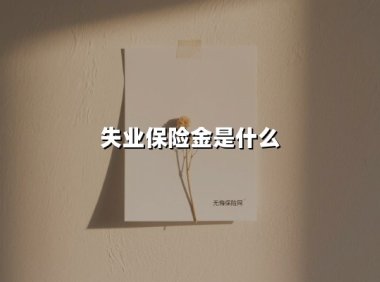 失业保险金是什么