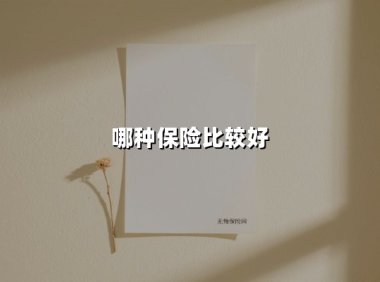哪种保险比较好