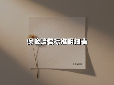保险赔偿标准明细表(2025最新)