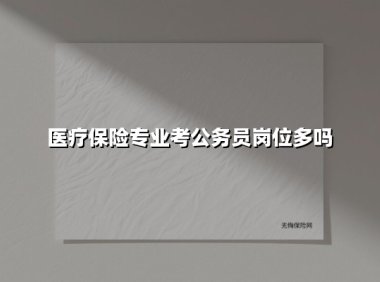 医疗保险专业考公务员岗位多吗(2025最新)