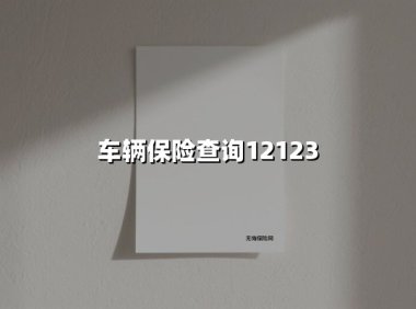车辆保险查询12123(2025最新)