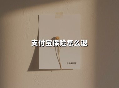 支付宝保险怎么退(2025最新)