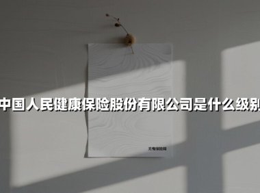 中国人民健康保险股份有限公司是什么级别(2025最新)