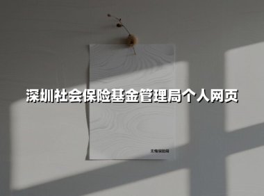 深圳社会保险基金管理局个人网页(2025最新)
