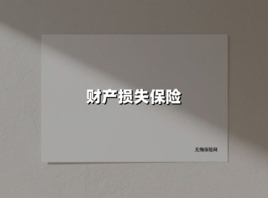 财产损失保险(2025最新)