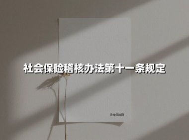 社会保险稽核办法第十一条规定(2025最新)