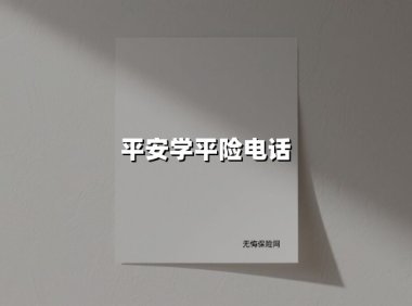 平安学平险：孩子的校园防护盾，家长的安全守护神（附2025最新投保攻略）