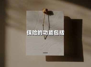 保险：守护人生的四重智慧，构建多维安全网络