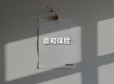 迎风挺立 向光而行｜鼎和保险如何为能源产业筑起风险防线