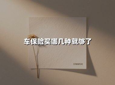 车险买这三种就够了！2024年最省钱的投保指南