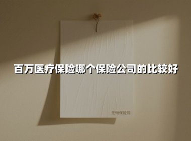 2025年百万医疗险深度解析：这四款高性价比产品成投保新宠