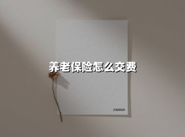 一文说清2025年最新养老保险缴费方式：不同人群这样选最划算