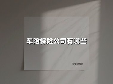 2025年中国车险公司深度解析：十大品牌服务全维度对比