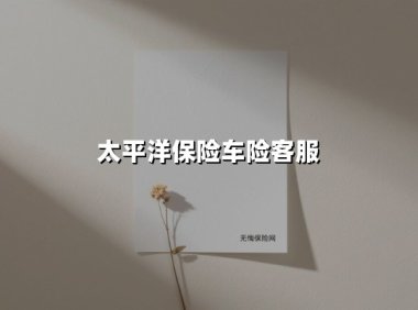 太平洋车险客服全指南：全天候守护每一位车主的用车安全