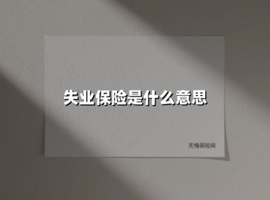 失业保险：你的职场缓冲垫，关键时刻的生活保障