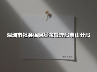 织密民生保障网，南山社保以实绩书写惠民答卷 ——深圳市社会保险基金管理局南山分局2025年创新工作纪实