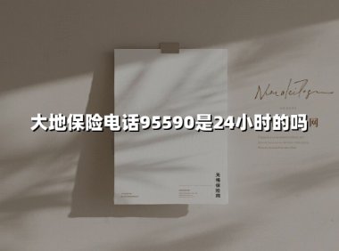 中国大地保险服务热线95590：您身边的24小时风险管家