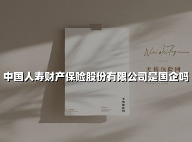 中国人寿财产保险股份有限公司是国企吗？详解其国资背景与企业实力