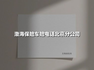 渤海保险北京分公司车险服务：一通电话开启全天候守护