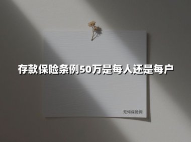银行存款保险50万限额：是按人头算还是全家共享？深度解析最新规则