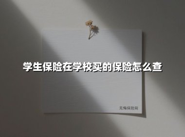 3分钟掌握学生险查询技巧|从保单查询到理赔的全流程指南