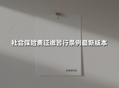 2025版《社会保险费征缴暂行条例》深度解析与企业申报指南
