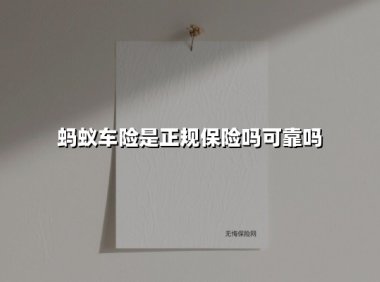 蚂蚁车险正规吗?深度揭秘支付宝保险服务的可靠性与选择策略