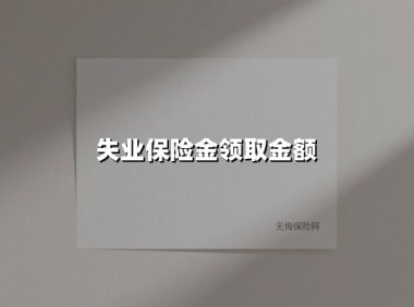2025年失业保险金领取金额全解析:你的“过渡金”到底能领多少?
