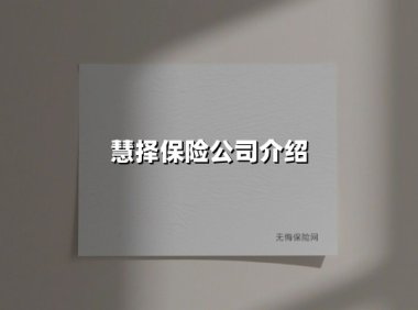 慧择保险:以创新与服务温度重塑行业标杆的数字化领航者