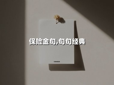 保单里藏着的「人情世故」:当保险金句照进中年人的现实账单