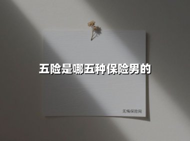 五险科普|职场男性必须了解的五大社会保障,这些隐藏权益别错过!