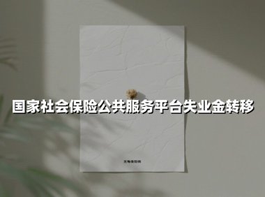 2025年失业金转移政策解读：从操作指南到避坑指南的全流程详解