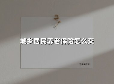 城乡居民养老保险缴费指南：3种主流方式实操解析