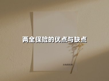 两全保险:守护与储蓄的双重博弈(2025最新解析)