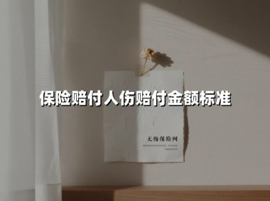 2025最新人伤保险赔付金额标准全解析:从医疗费到死亡赔偿的完整指南