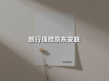 《藏在行李箱里的守护者:京东安联旅行险如何让你的旅程无痛无痒》