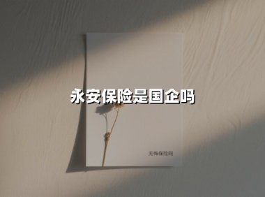 永安保险是国企吗?深度解析股权结构与企业性质的真实底色