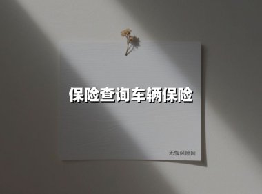 2025年最新车险查询指南:4种高效方法,1分钟掌握保单信息