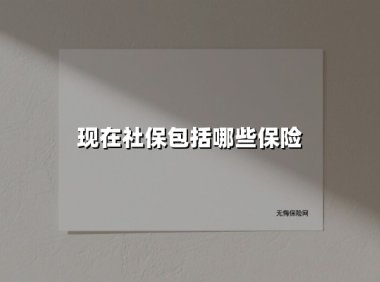 2025最新解析:我国社保五大险种到底保什么?(附深度指南)