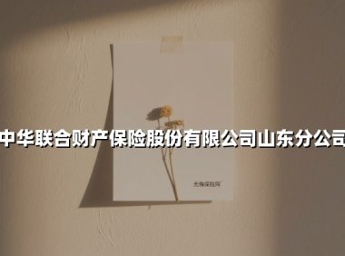 守护齐鲁大地18载:中华财险山东分公司的民生服务密码