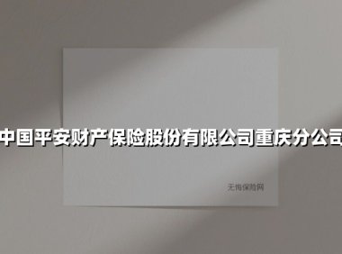 守护山城美好生活 中国平安财产保险重庆分公司的责任与担当