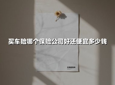 2024买车险指南:哪家保险公司性价比最高?内行教你省30%保费