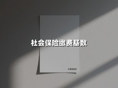 2025最新解读:社会保险缴费基数怎么算?事关你的钱袋子