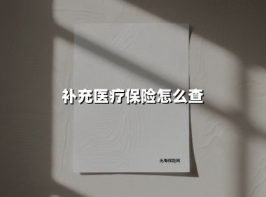 2025年补充医疗保险查询全攻略:官方渠道与实用技巧
