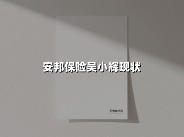 吴小晖案终局与安邦遗产重构:一个金融帝国的瓦解与重生