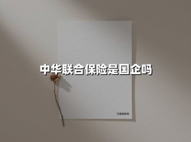 中华联合保险的国企身份解析:一家央企背景的保险巨头成长史