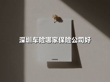 深圳车险怎么选?2025年五大保险品牌全攻略(附避坑指南)