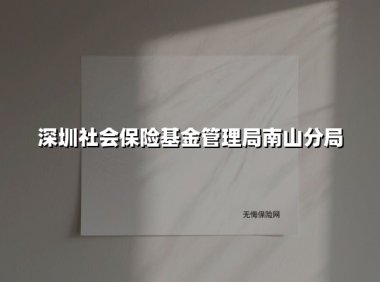 便民服务再升级:深圳市社会保险基金管理局南山分局构筑社保服务新高地
