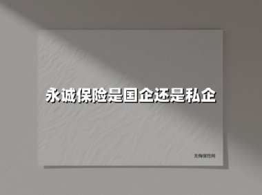 永诚保险:央企背景的全国性险企如何构筑发展护城河?